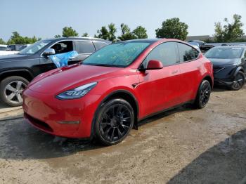  Salvage Tesla Model Y