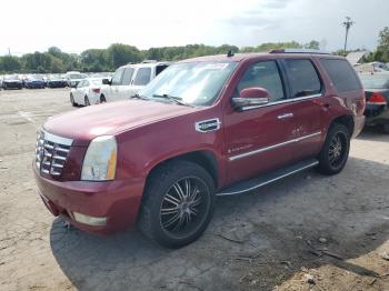  Salvage Cadillac Escalade