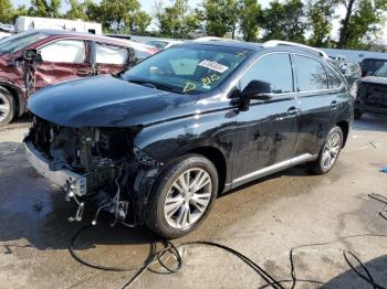  Salvage Lexus RX