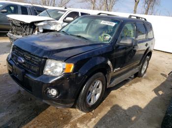  Salvage Ford Escape