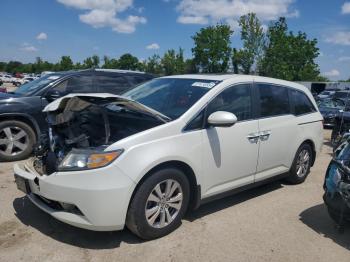  Salvage Honda Odyssey