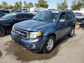  Salvage Ford Escape