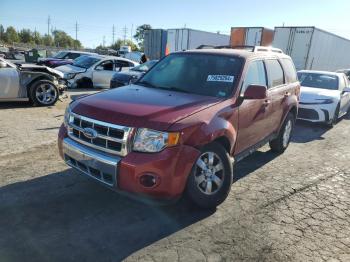  Salvage Ford Escape