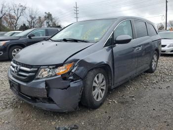  Salvage Honda Odyssey