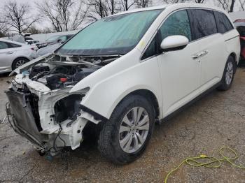  Salvage Honda Odyssey