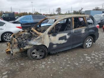  Salvage Subaru Forester