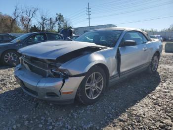  Salvage Ford Mustang