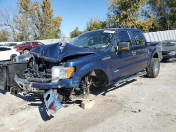  Salvage Ford F-150