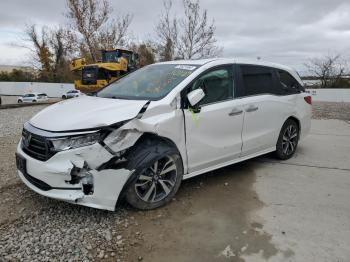  Salvage Honda Odyssey