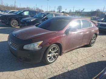  Salvage Nissan Maxima