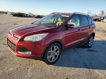  Salvage Ford Escape