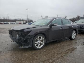  Salvage Nissan Maxima