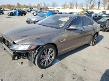  Salvage Jaguar XF