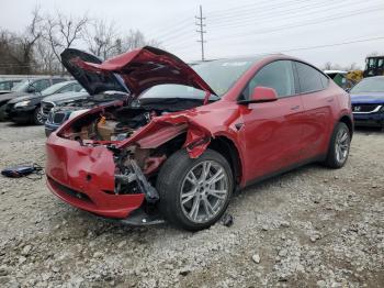  Salvage Tesla Model Y