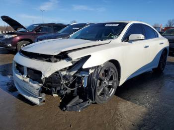  Salvage Nissan Maxima