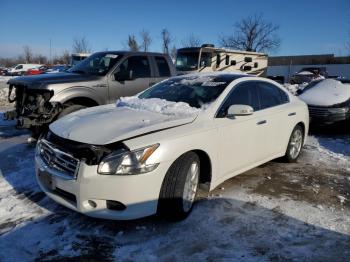  Salvage Nissan Maxima