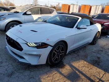  Salvage Ford Mustang