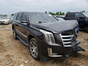  Salvage Cadillac Escalade