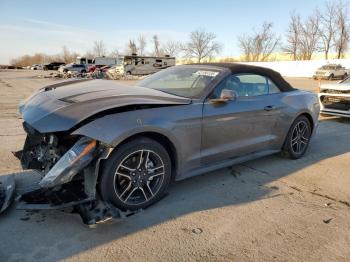  Salvage Ford Mustang