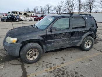  Salvage Ford Escape