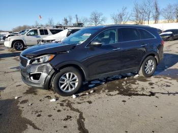  Salvage Kia Sorento