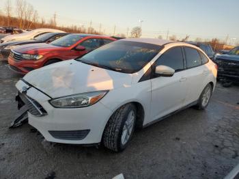  Salvage Ford Focus