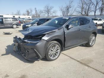  Salvage Lexus NX