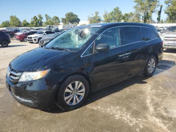  Salvage Honda Odyssey