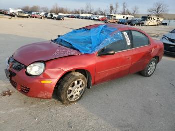  Salvage Dodge Neon