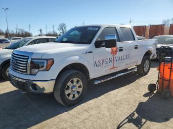  Salvage Ford F-150