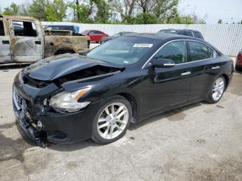  Salvage Nissan Maxima
