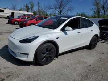  Salvage Tesla Model Y
