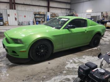  Salvage Ford Mustang