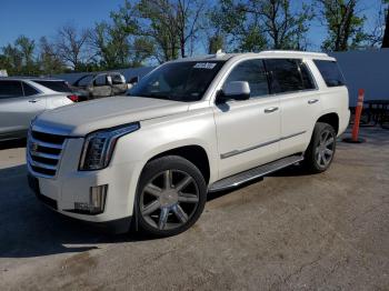 Salvage Cadillac Escalade