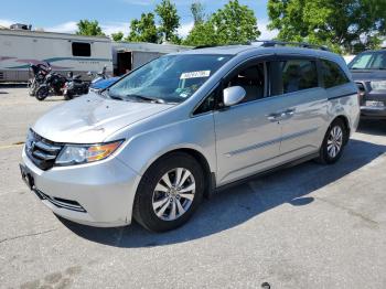  Salvage Honda Odyssey