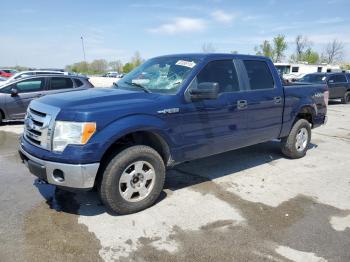  Salvage Ford F-150