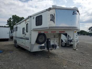  Salvage Bison Bisontrail