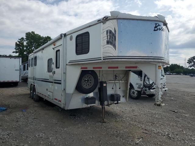  Salvage Bison Bisontrail