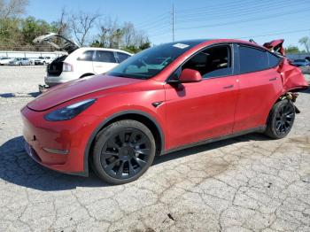  Salvage Tesla Model Y