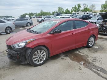  Salvage Hyundai ELANTRA