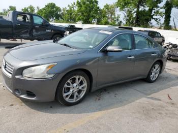  Salvage Nissan Maxima