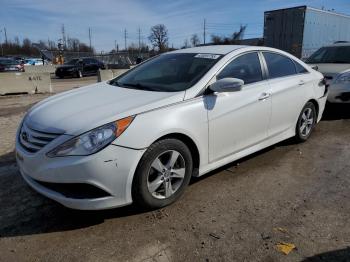  Salvage Hyundai SONATA