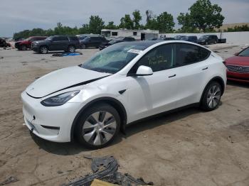  Salvage Tesla Model Y