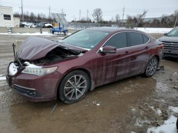  Salvage Acura TLX