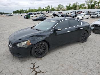  Salvage Nissan Maxima