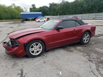  Salvage Ford Mustang