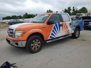  Salvage Ford F-150