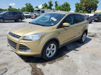  Salvage Ford Escape