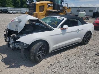  Salvage Ford Mustang