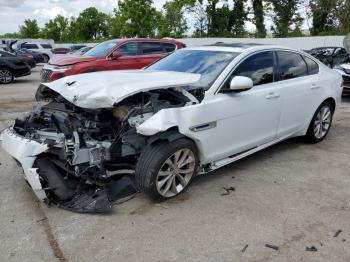  Salvage Jaguar XF